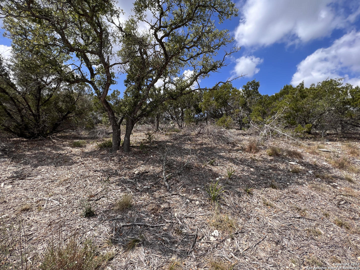 868 Bell Canyon Way Bulverde TX 78163