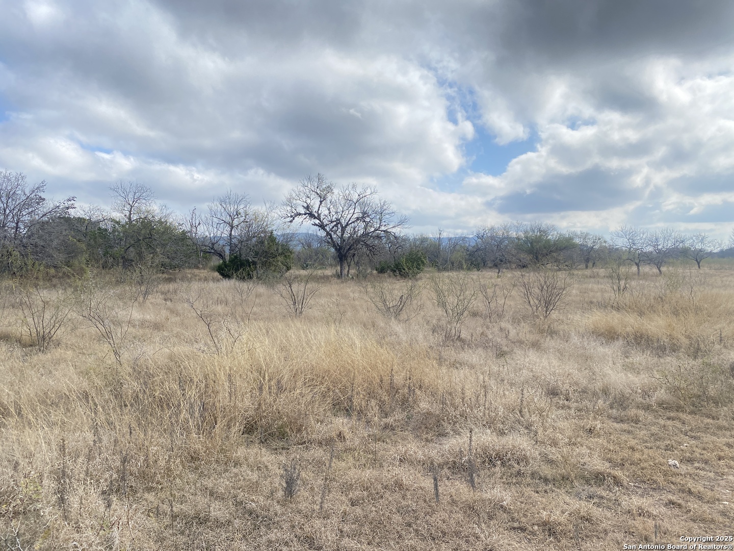 935 Ridge Loop Rio Frio TX 78879
