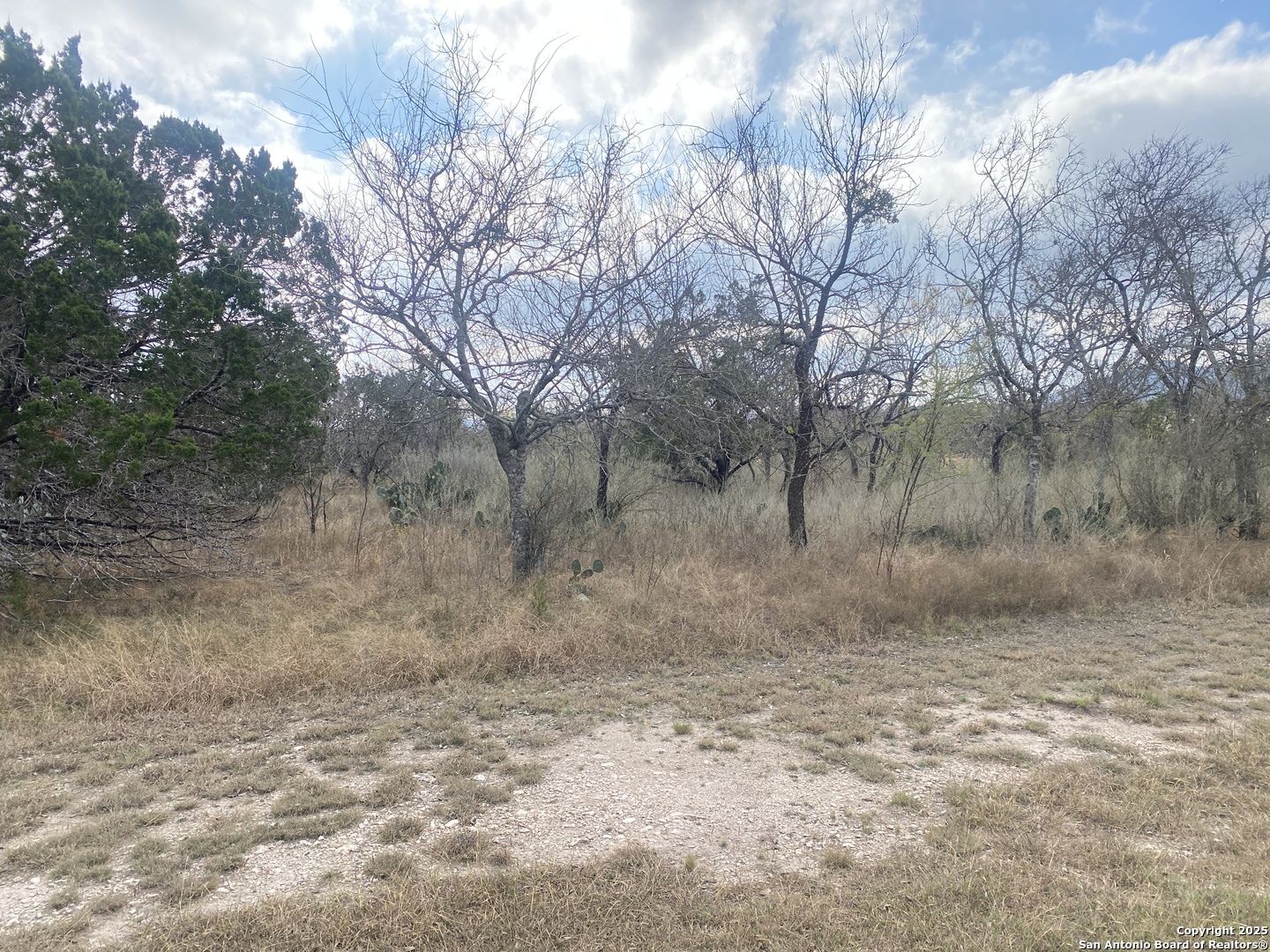935 Ridge Loop Rio Frio TX 78879