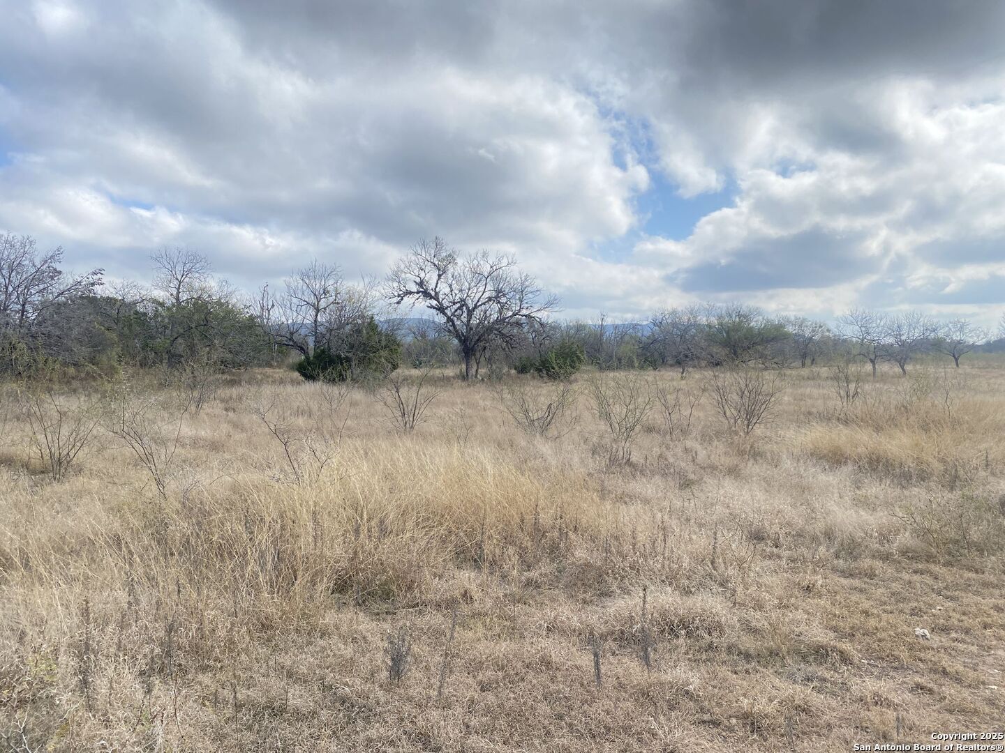 935 Ridge Loop Rio Frio TX 78879