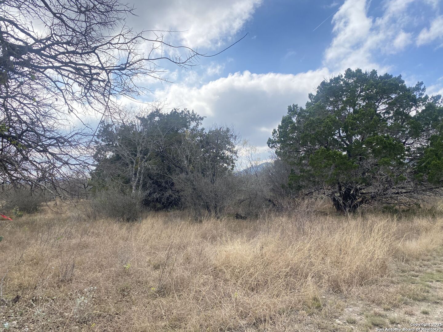 935 Ridge Loop Rio Frio TX 78879