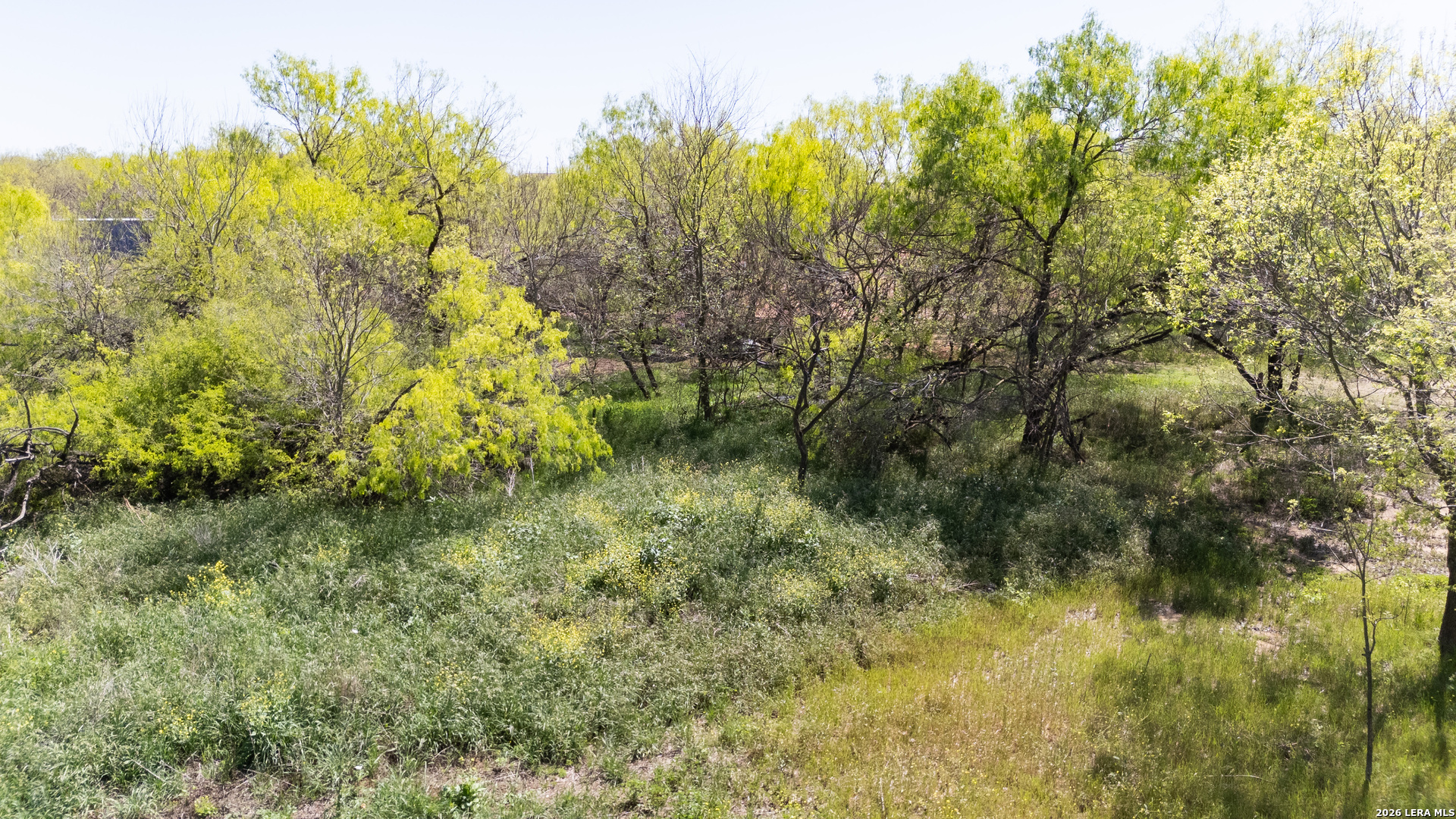 7468 Real China Grove TX 78263
