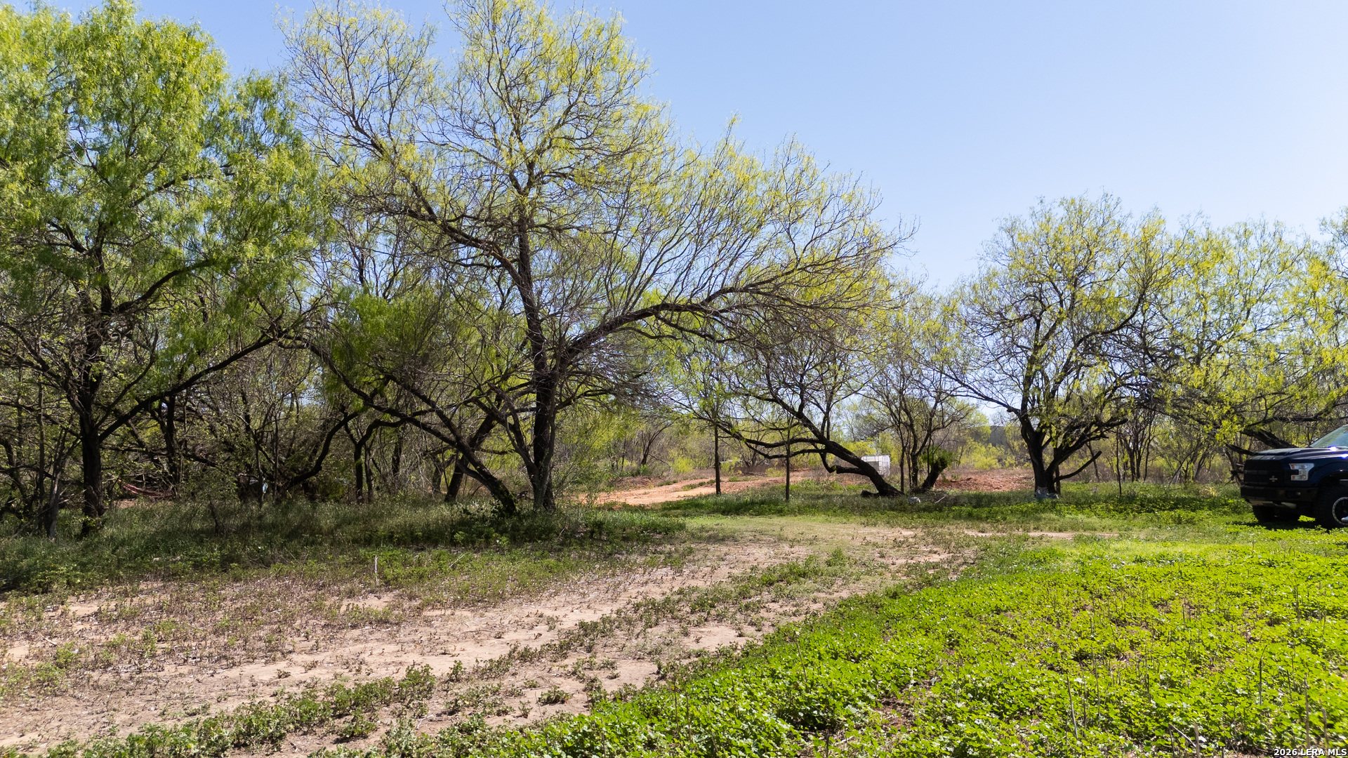 7468 Real China Grove TX 78263
