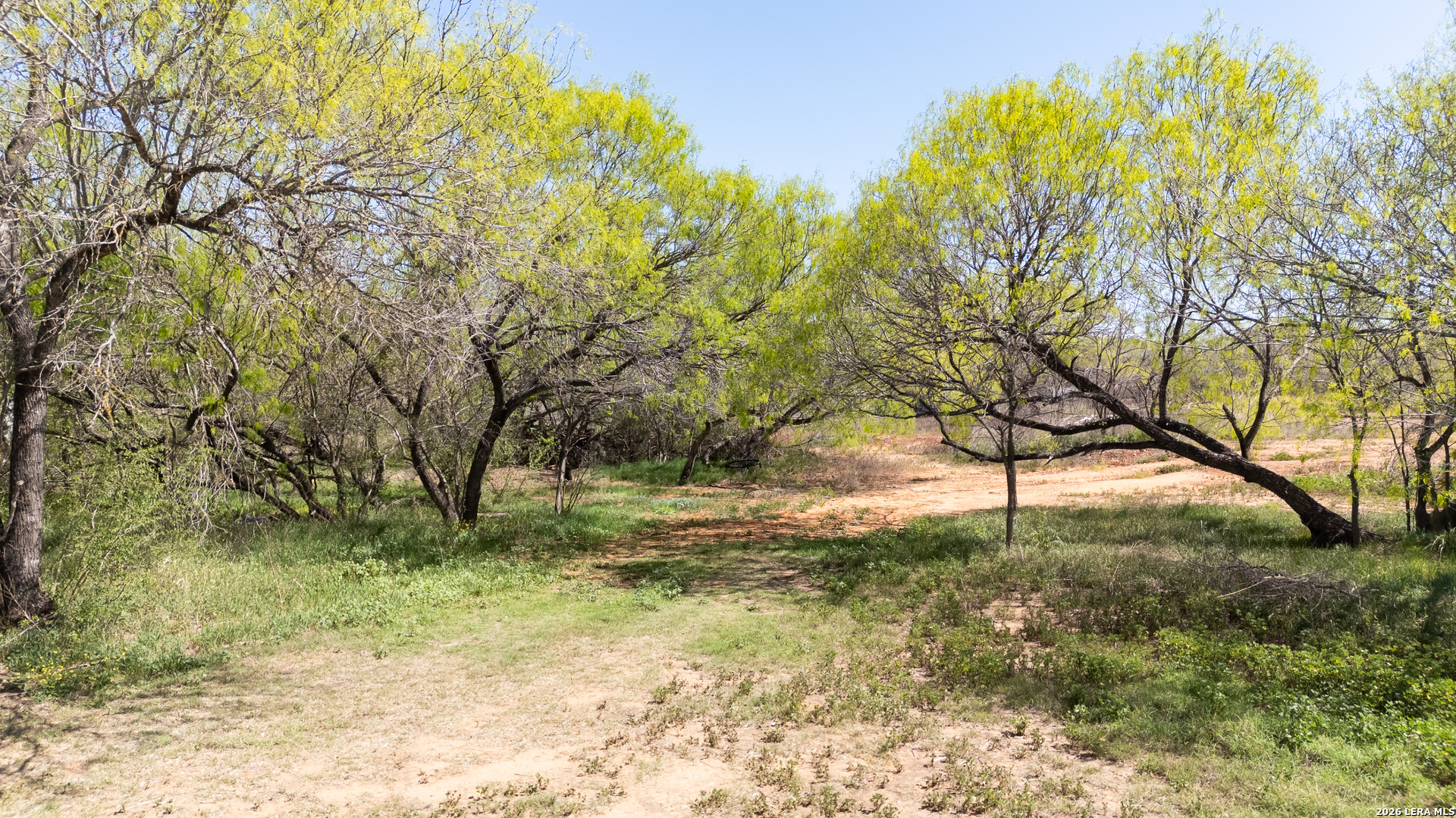 7468 Real China Grove TX 78263