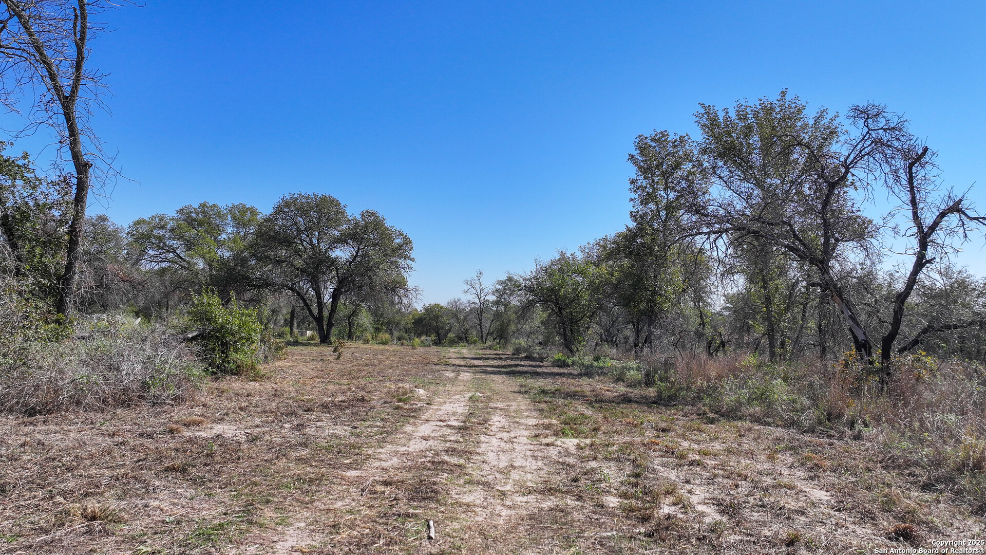 26013 Sand Cliff San Antonio TX 78264