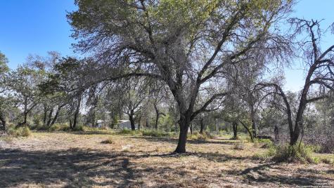 26013 Sand Cliff San Antonio TX 78264