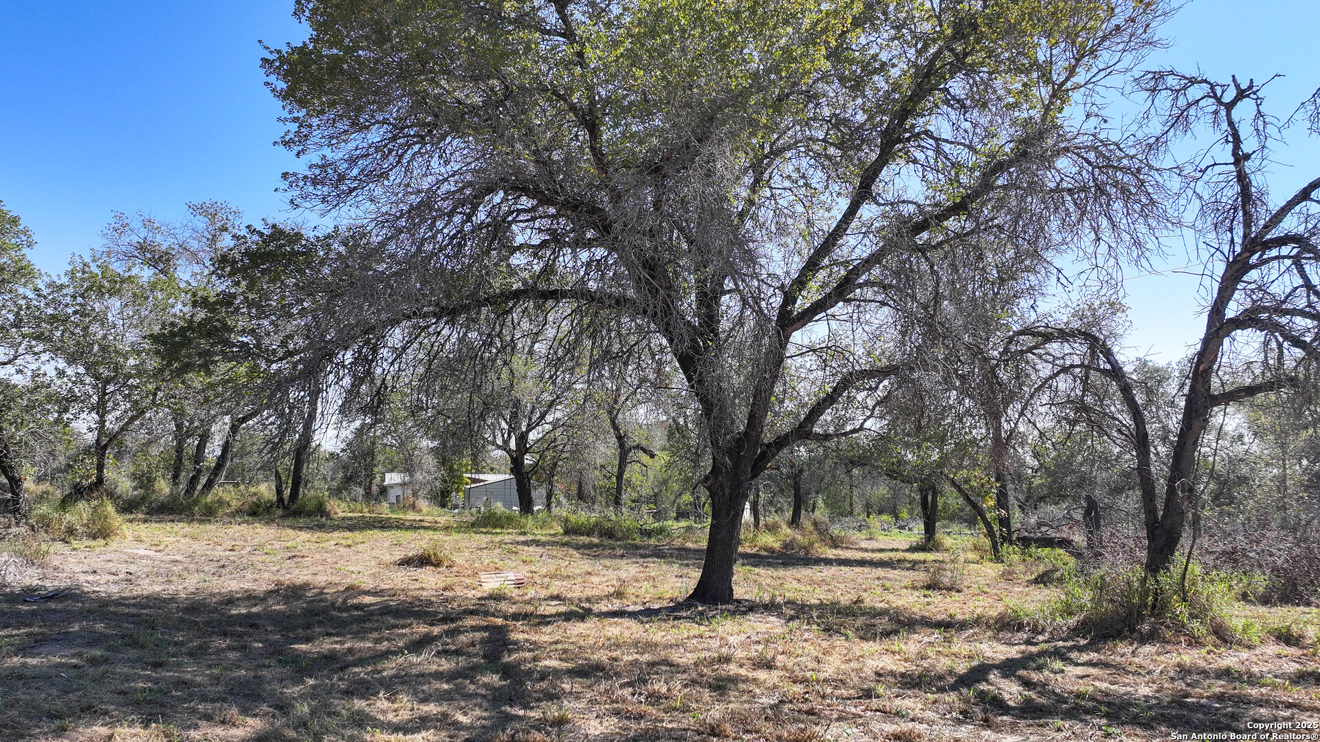 26013 Sand Cliff San Antonio TX 78264