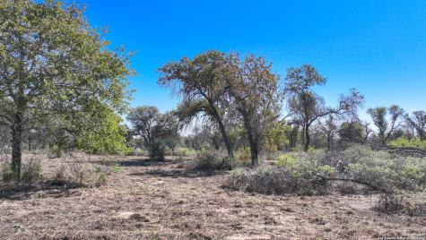 26013 Sand Cliff San Antonio TX 78264