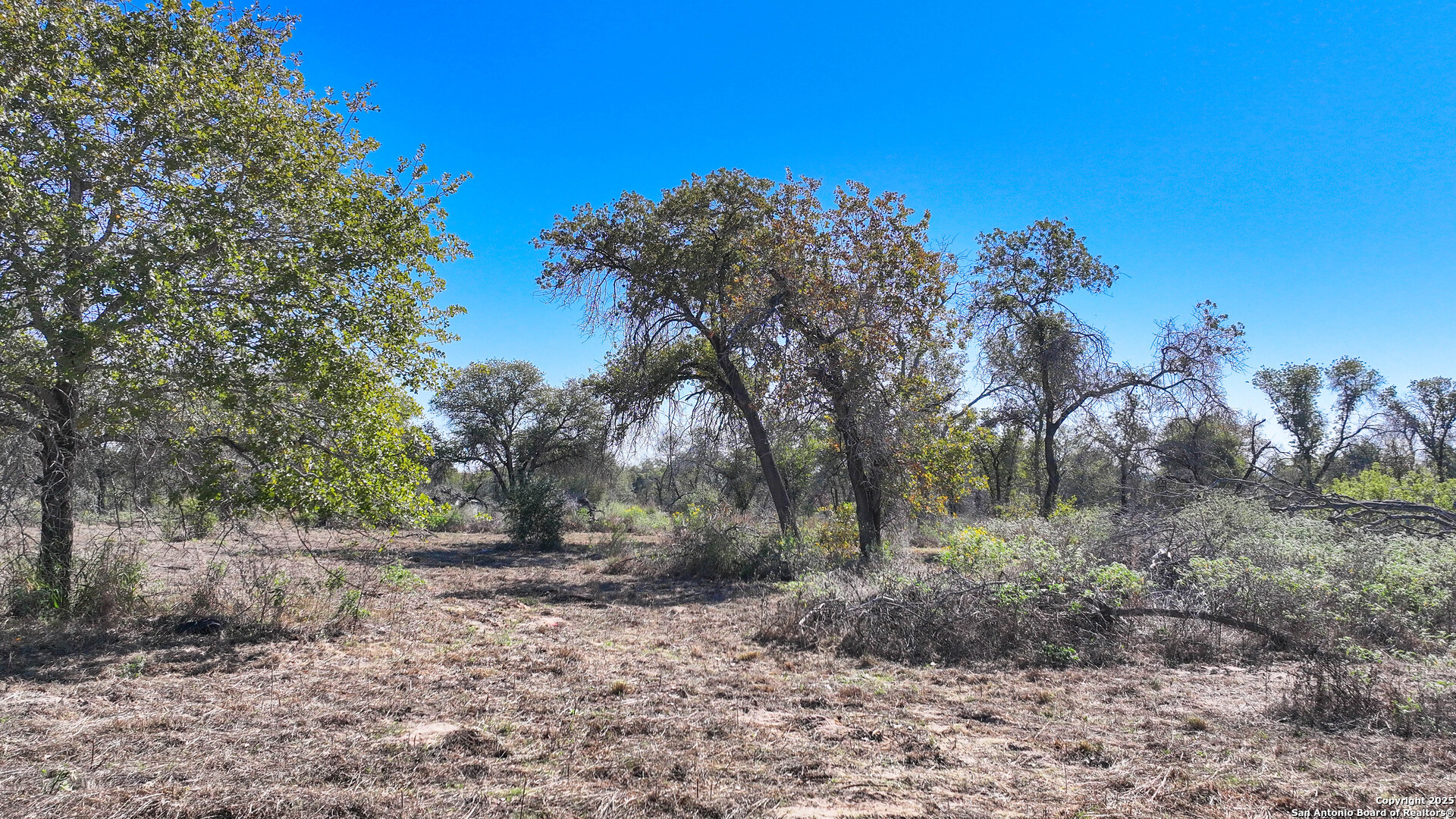 26013 Sand Cliff San Antonio TX 78264