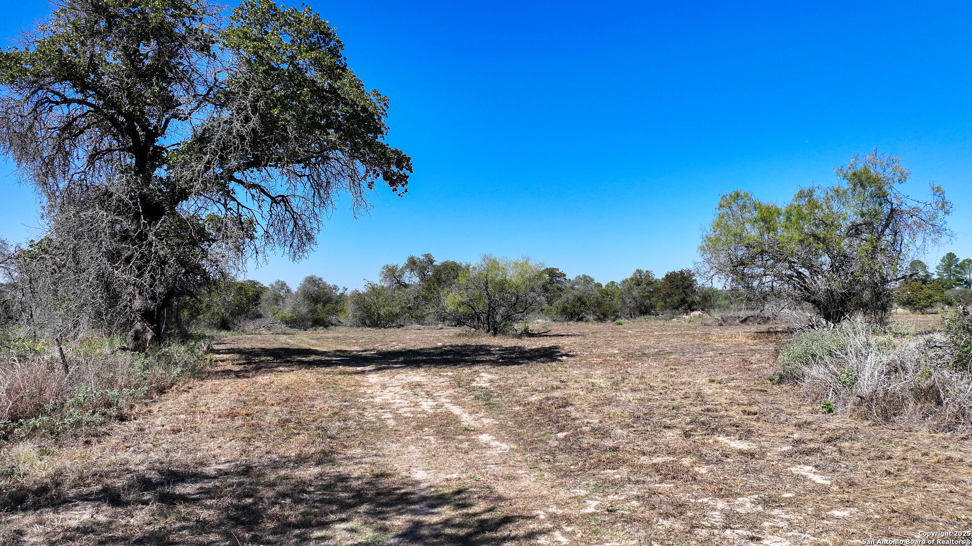 26013 Sand Cliff San Antonio TX 78264