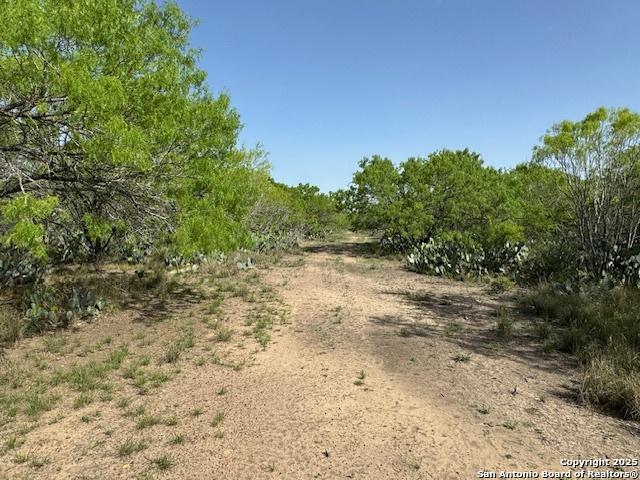 24 Windmill Ranchettes Cr 329 Jourdanton TX 78064