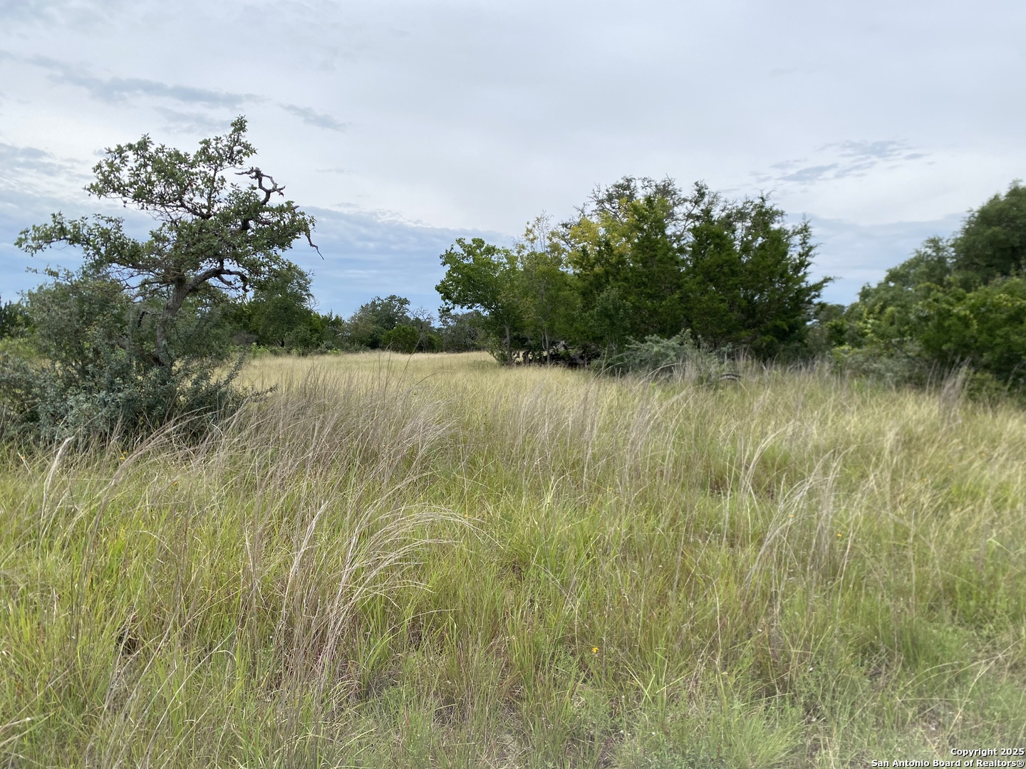 5 Kendall Jackson Comfort TX 78013