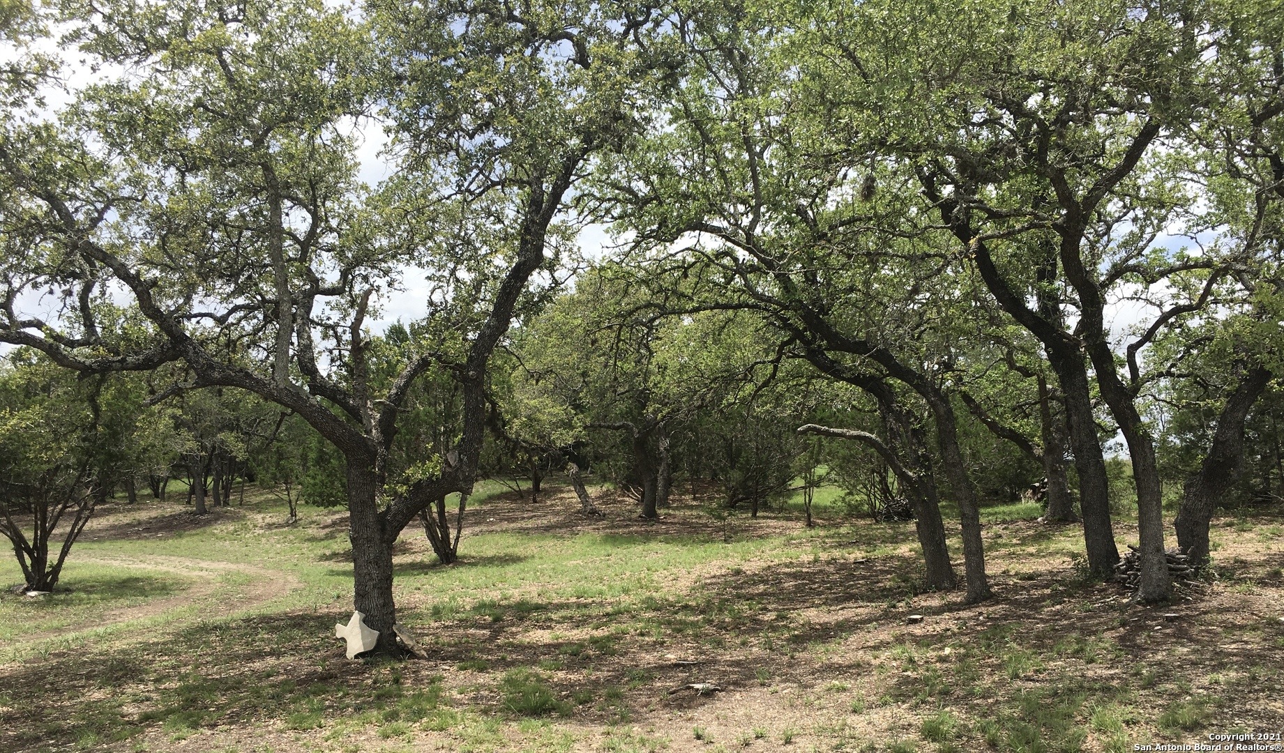 134 Peppergrass Drive Spring Branch TX 78070