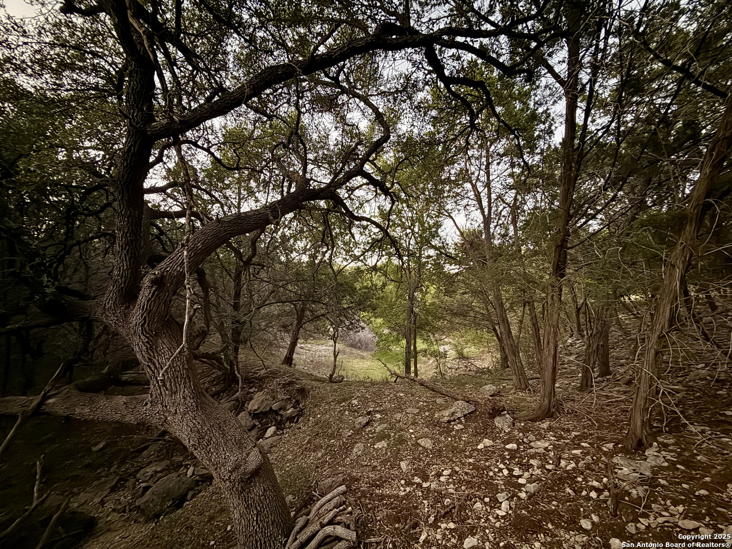 1043 Summit Canyon Lake TX 78133