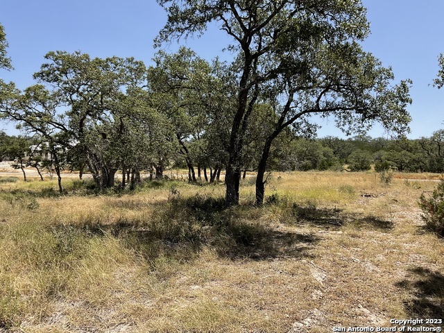 722 Blaze Ridge Boulevard Bulverde TX 78163