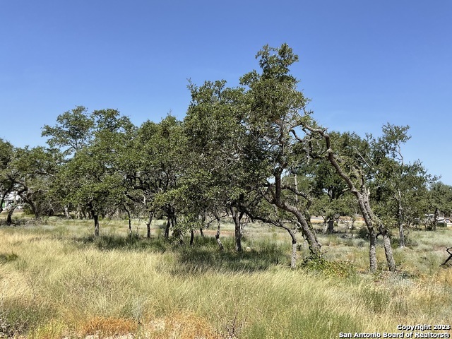 722 Blaze Ridge Boulevard Bulverde TX 78163