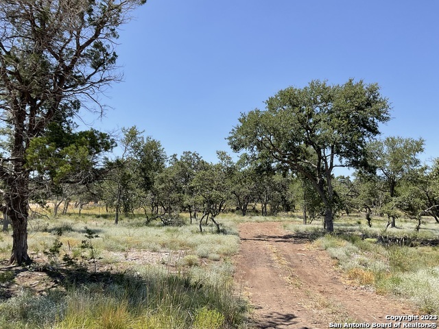 722 Blaze Ridge Boulevard Bulverde TX 78163