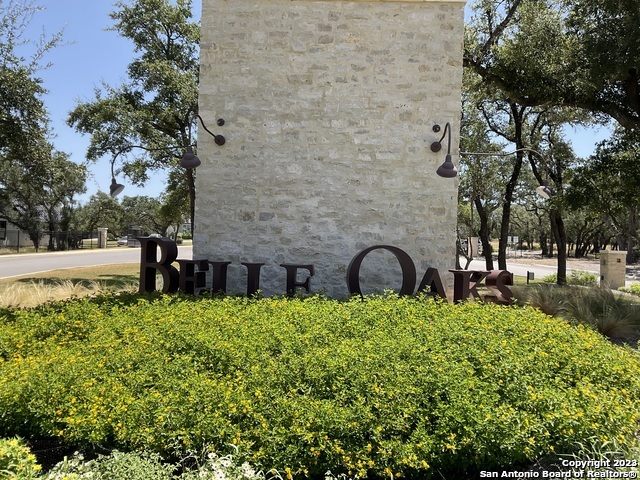 722 Blaze Ridge Boulevard Bulverde TX 78163