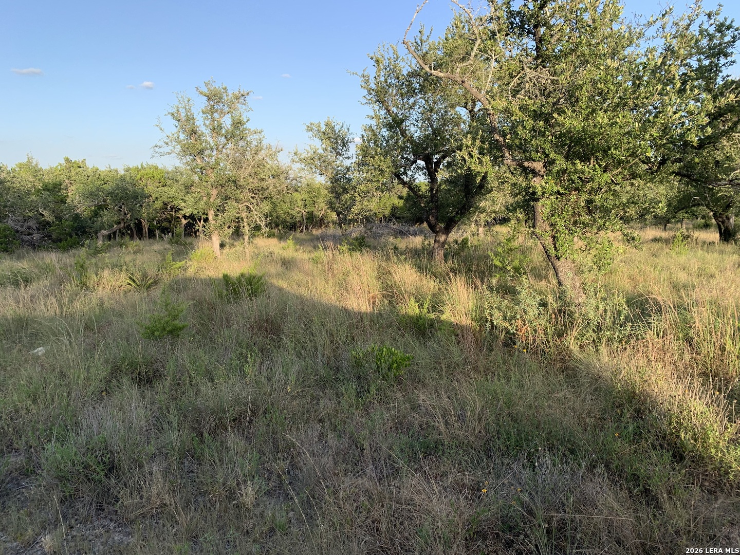 3250 Fm 484 Canyon Lake TX 78133