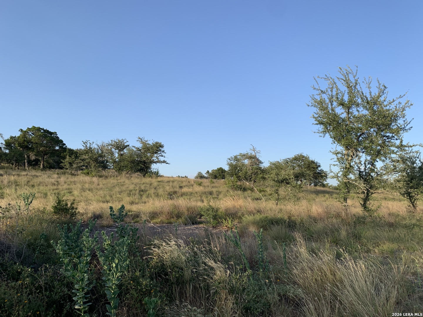 3250 Fm 484 Canyon Lake TX 78133