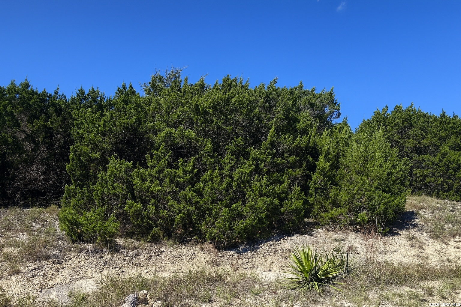 119 N Stallion Estates Drive Spring Branch TX 78070