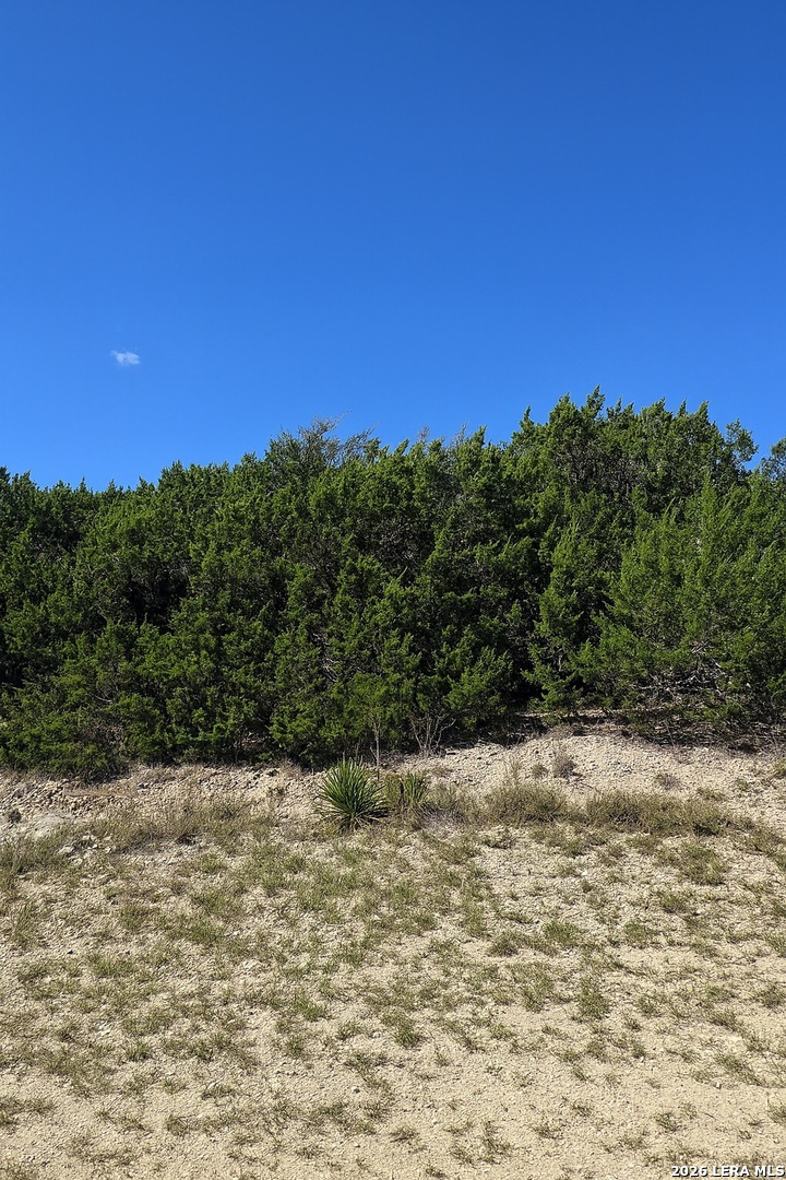 119 N Stallion Estates Drive Spring Branch TX 78070