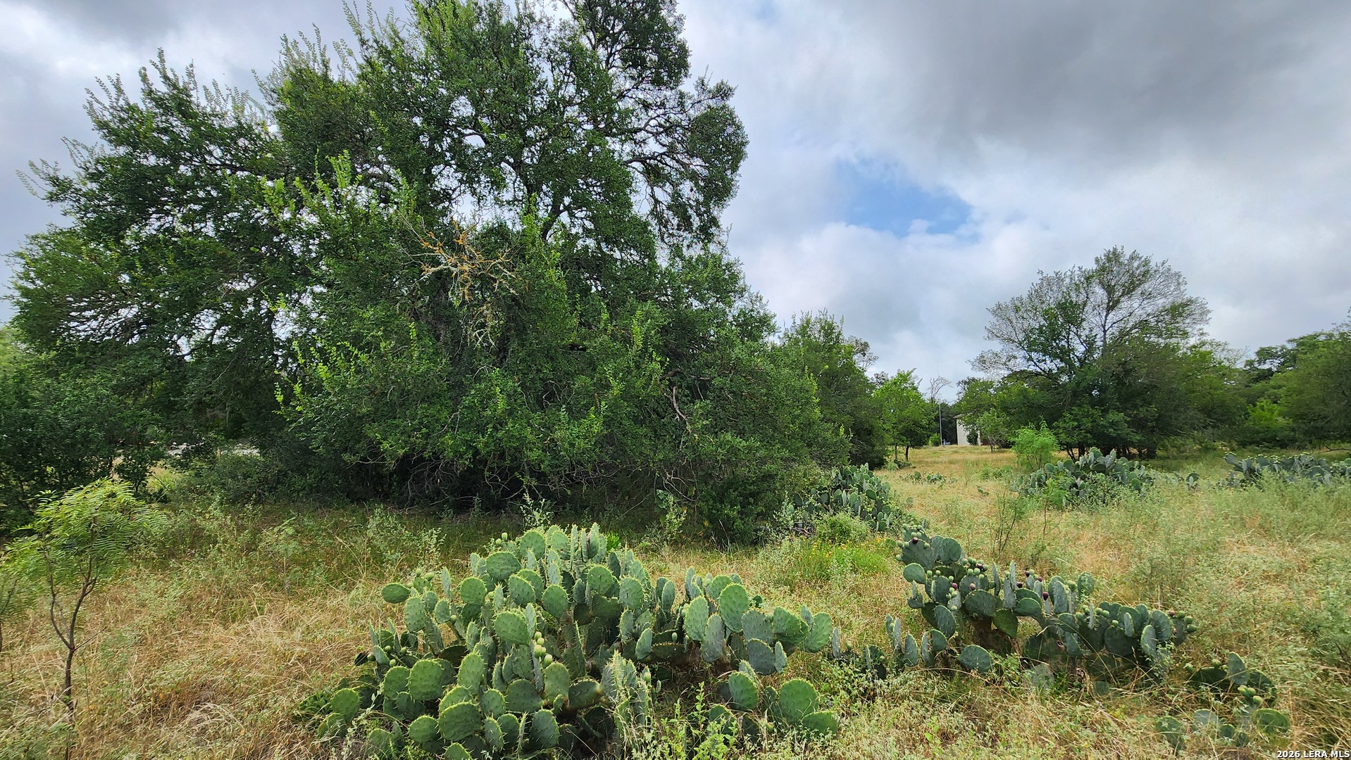 13505 Frenchmans Cove San Antonio TX 78253