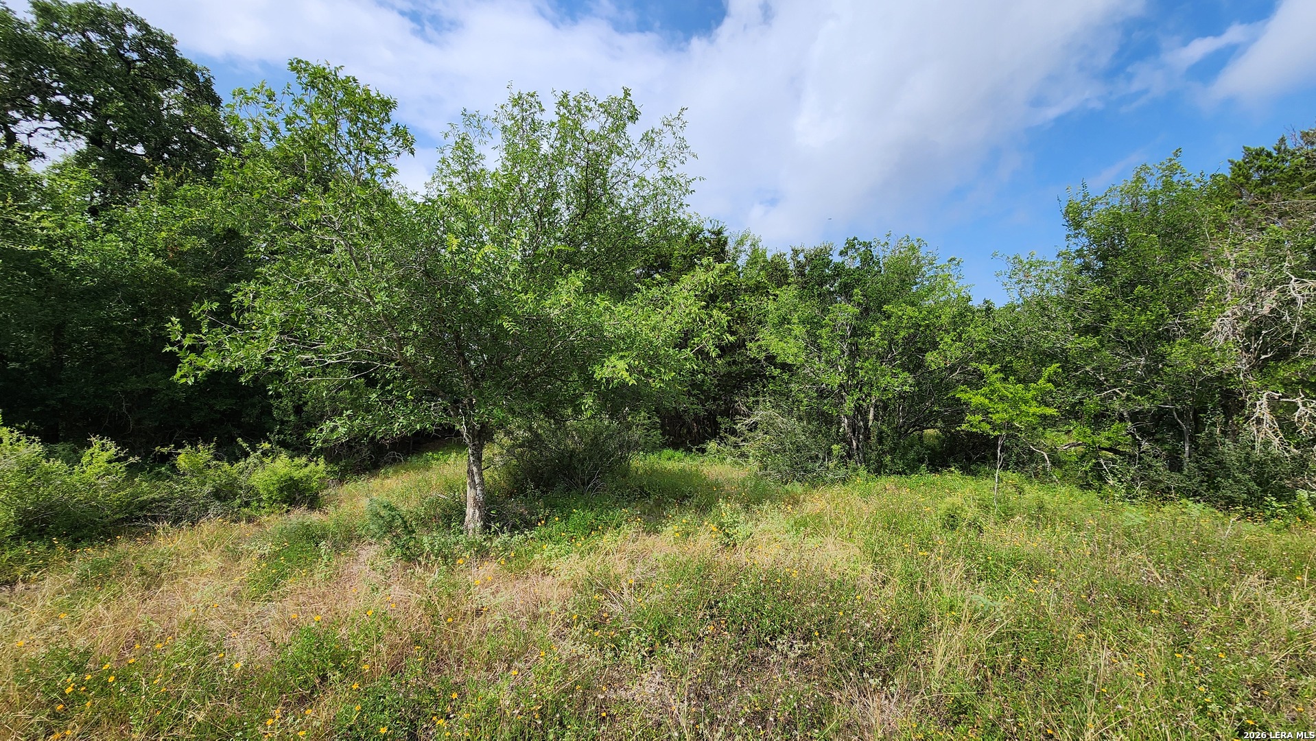13505 Frenchmans Cove San Antonio TX 78253