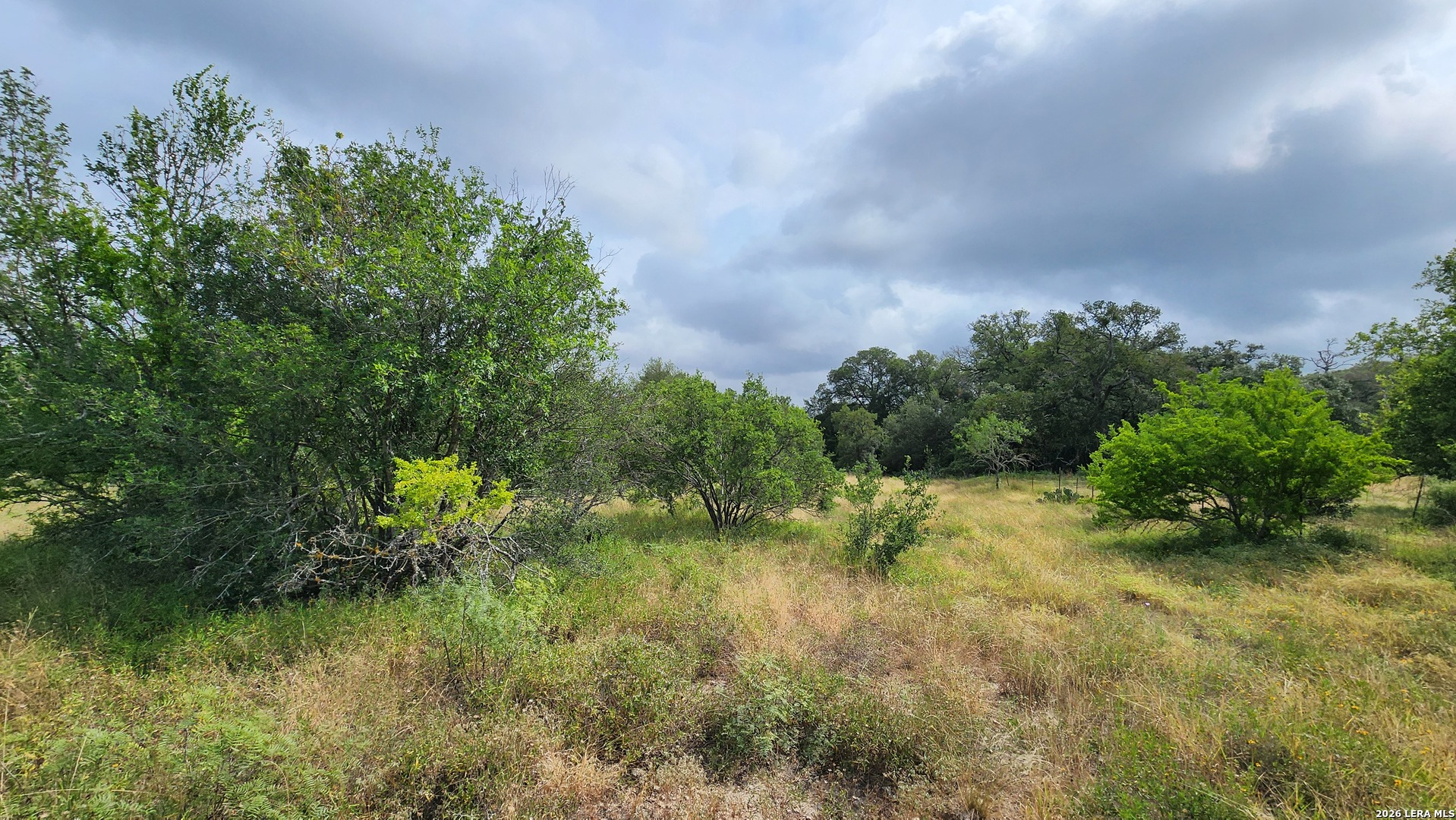 13505 Frenchmans Cove San Antonio TX 78253