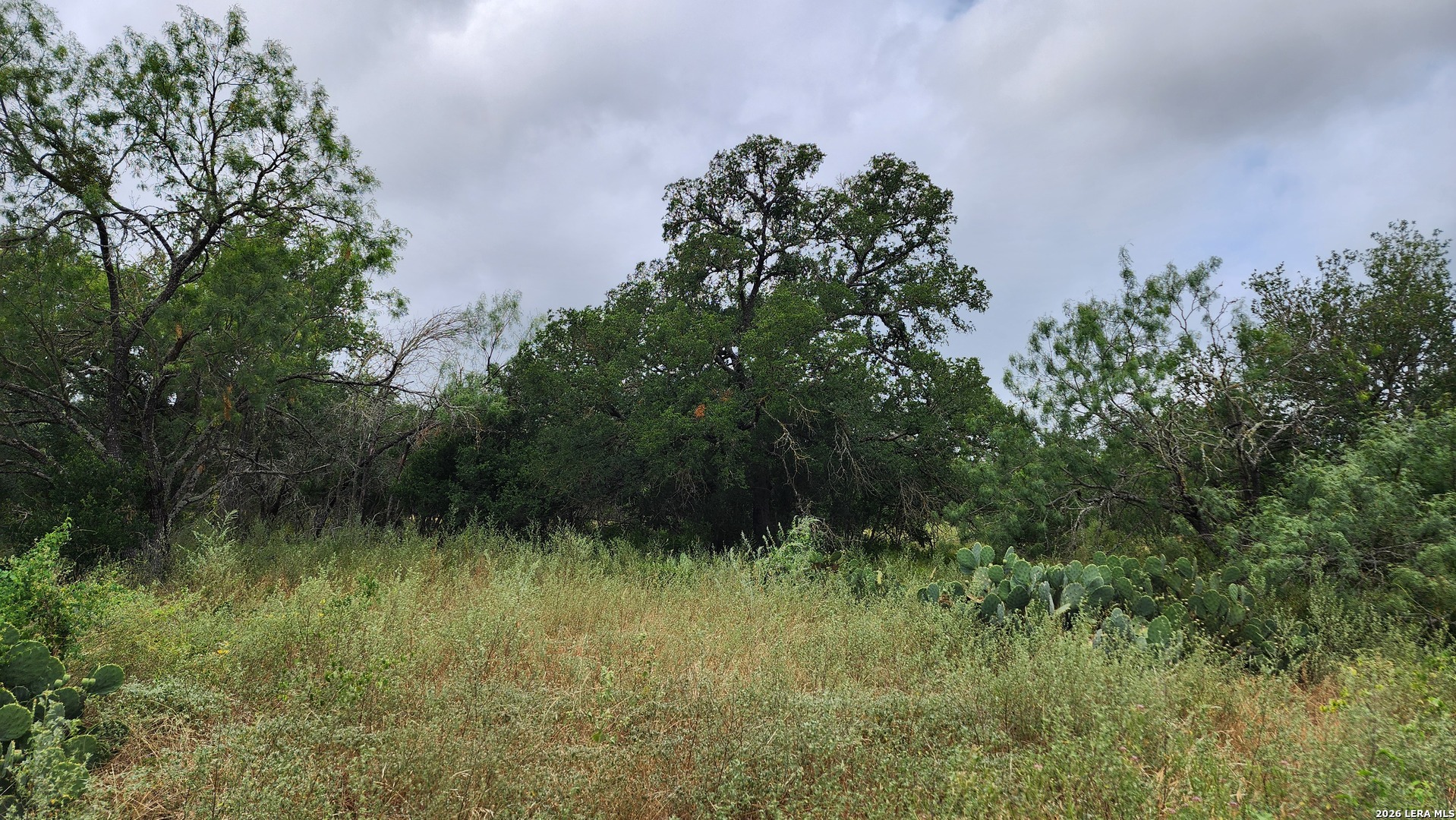 13505 Frenchmans Cove San Antonio TX 78253