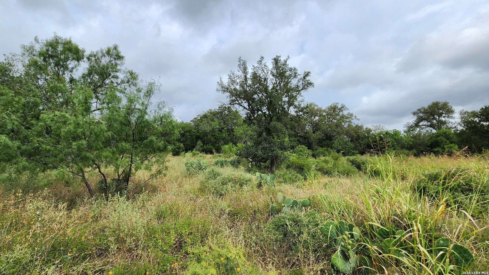 13505 Frenchmans Cove San Antonio TX 78253