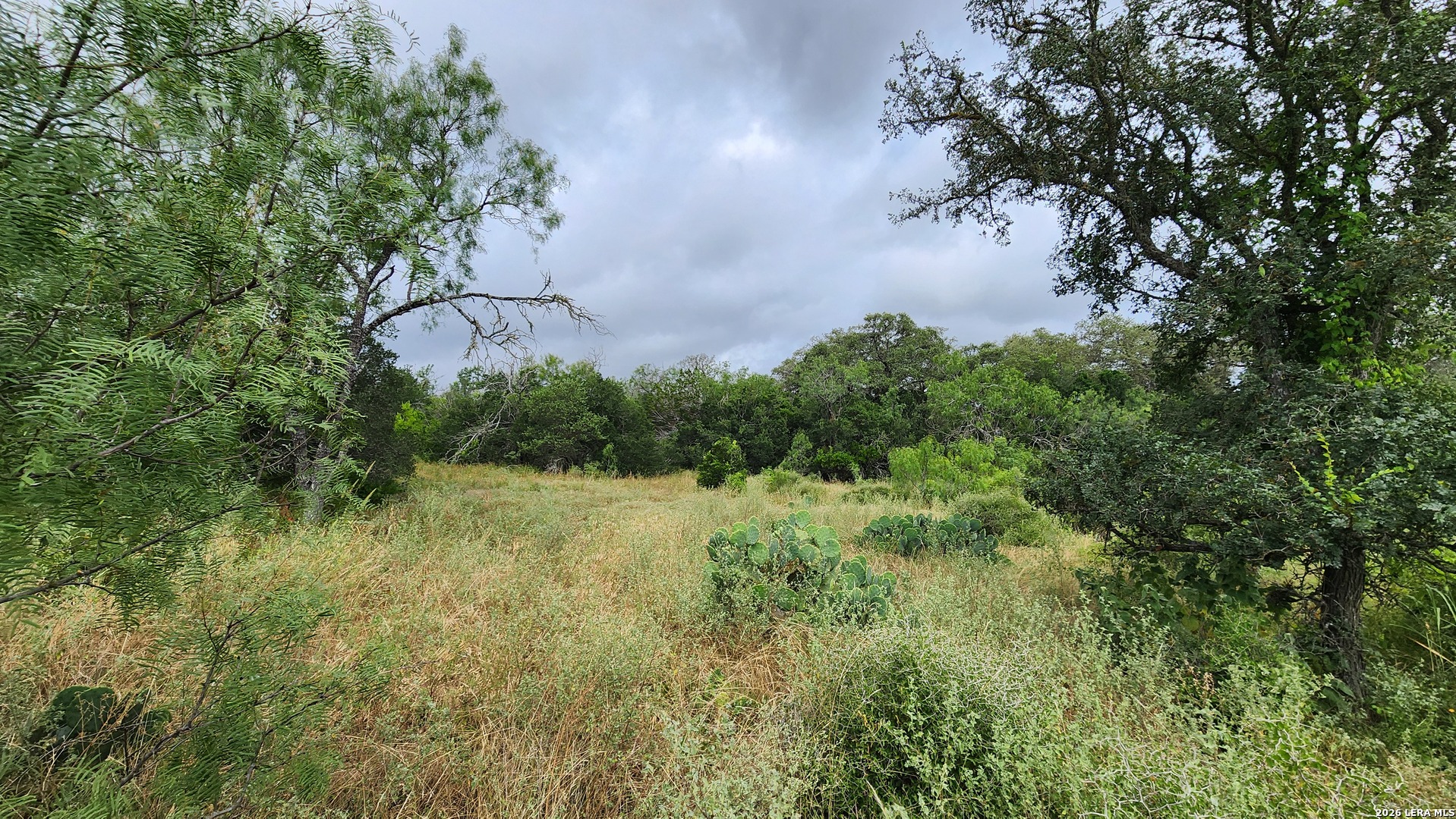 13505 Frenchmans Cove San Antonio TX 78253