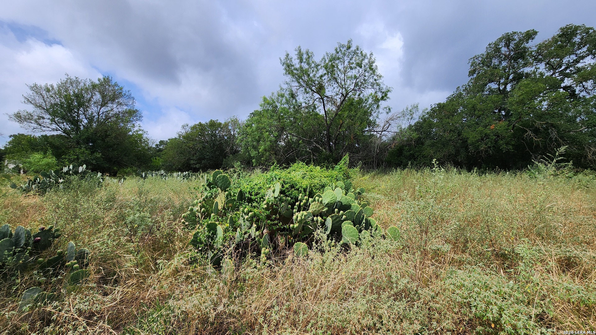 13505 Frenchmans Cove San Antonio TX 78253