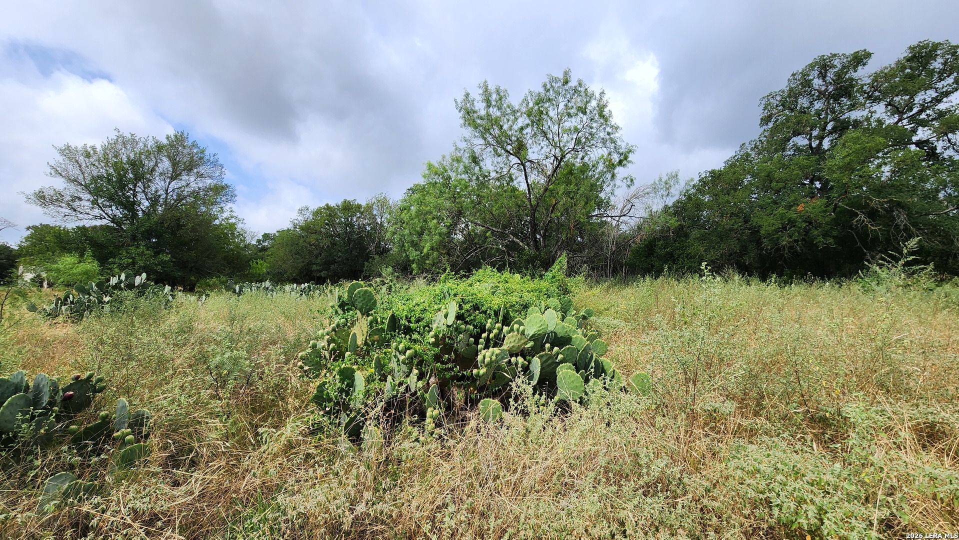 13505 Frenchmans Cove San Antonio TX 78253