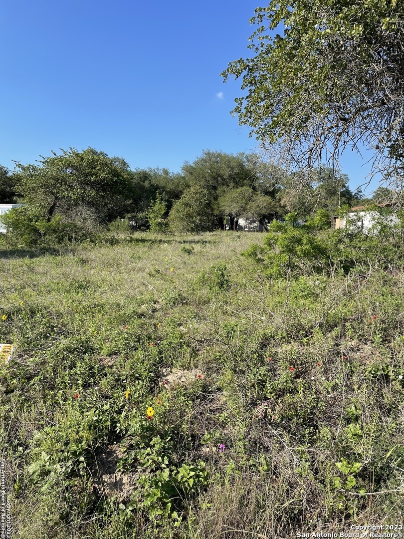 23323 Grand Spring Elmendorf TX 78112