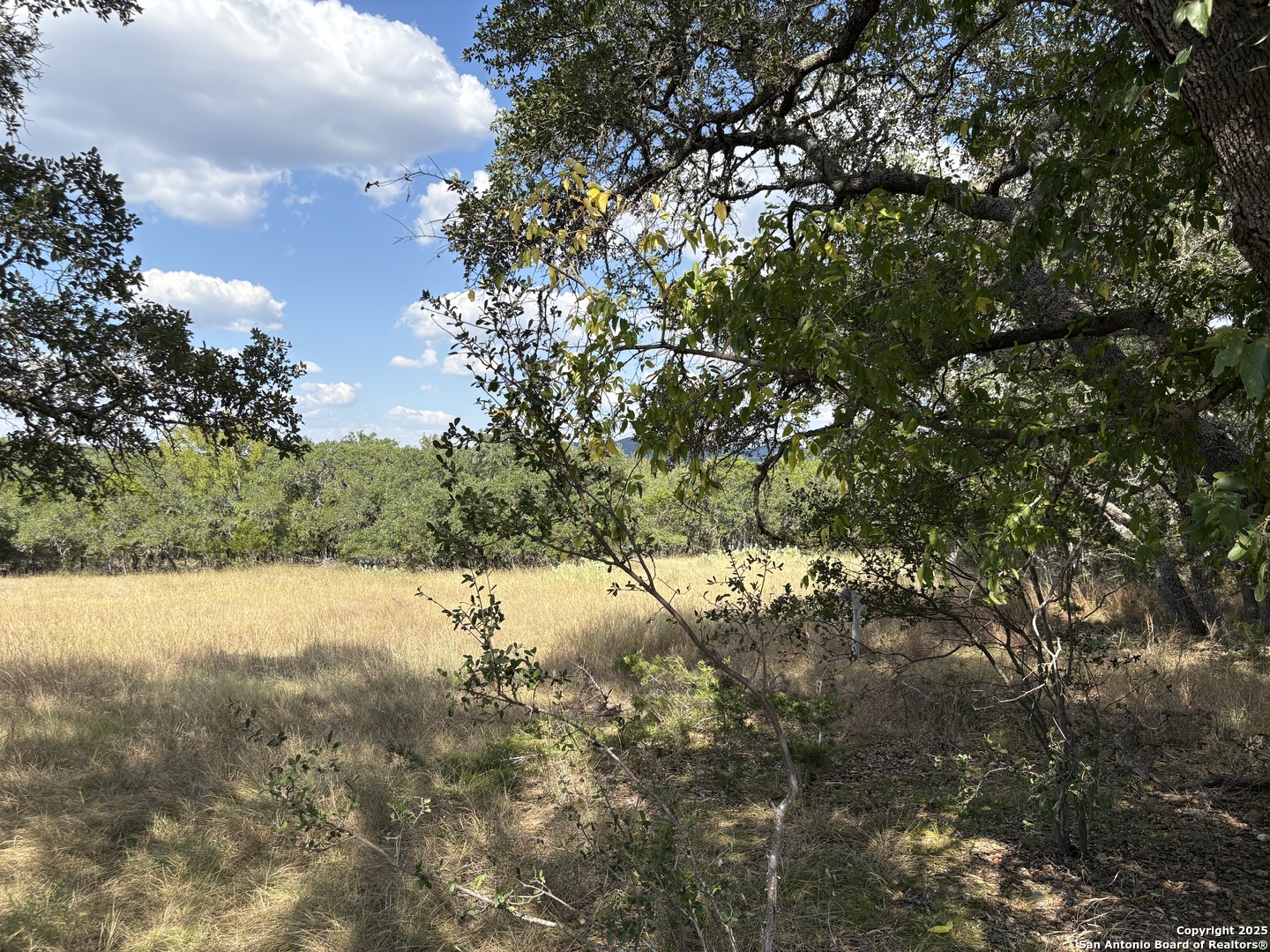 Lot 381 Palomino Springs Bandera TX 78003