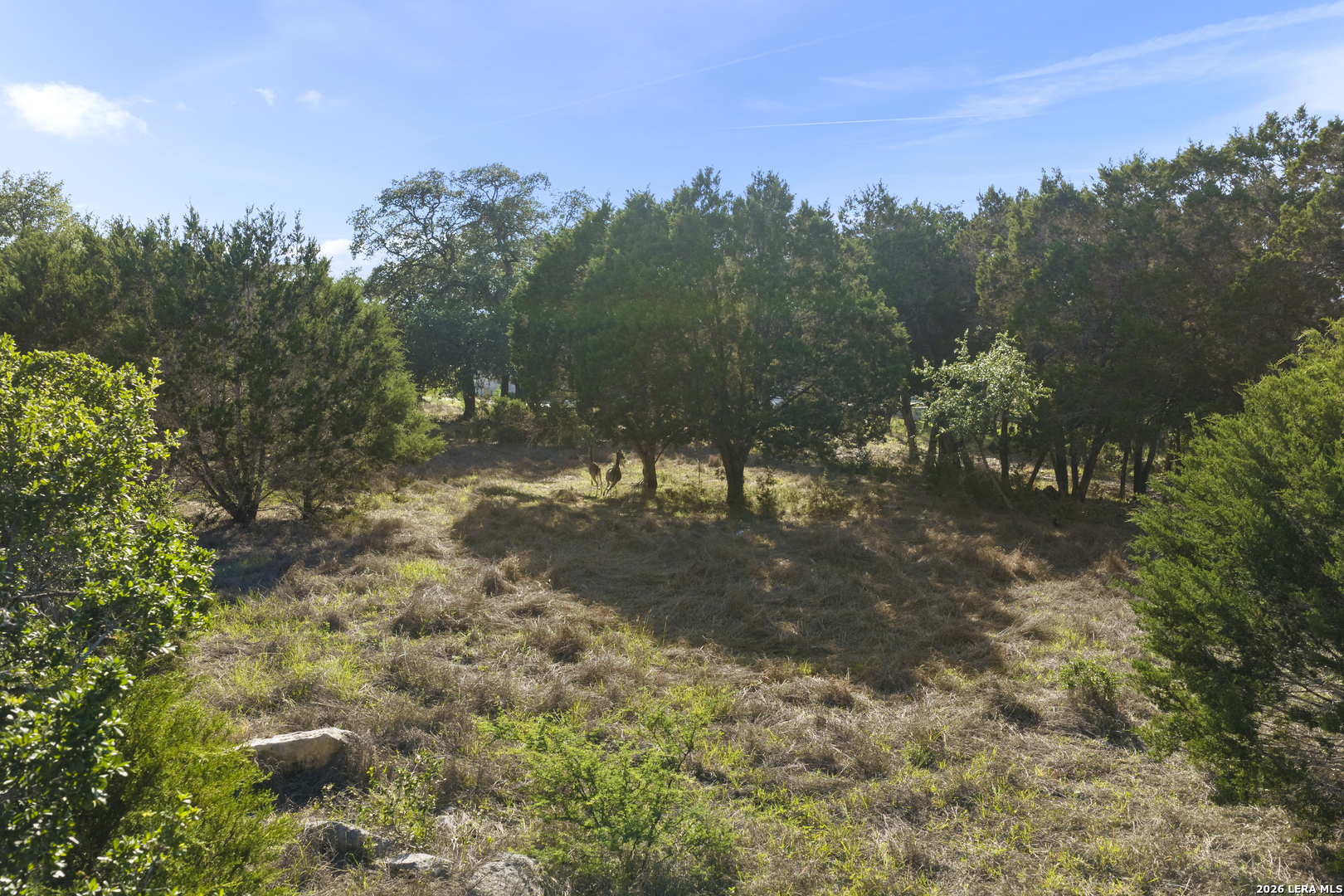 9 Ledgestone Trail Boerne TX 78006