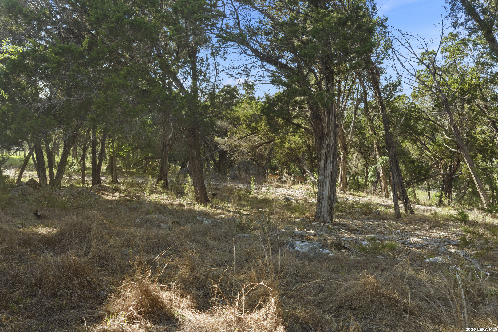 9 Ledgestone Trail Boerne TX 78006