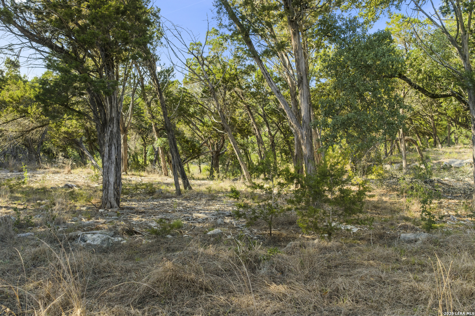 9 Ledgestone Trail Boerne TX 78006