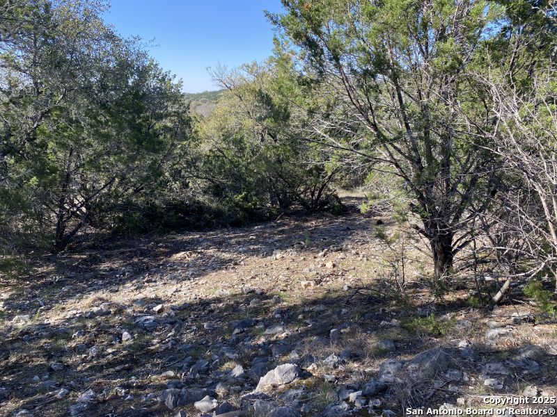 000 Private Road 2560 Reagan Wells TX 78801