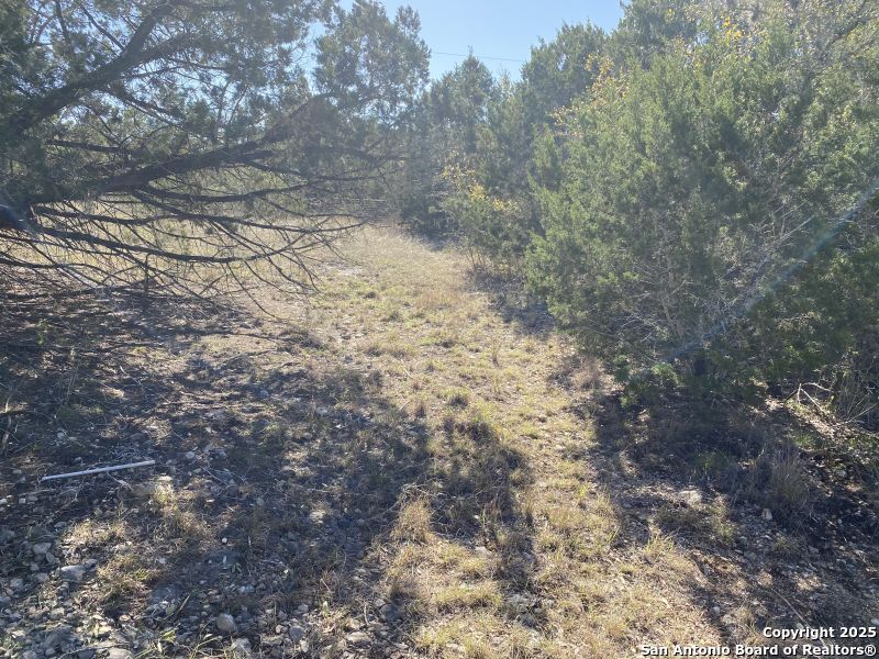 000 Private Road 2560 Reagan Wells TX 78801