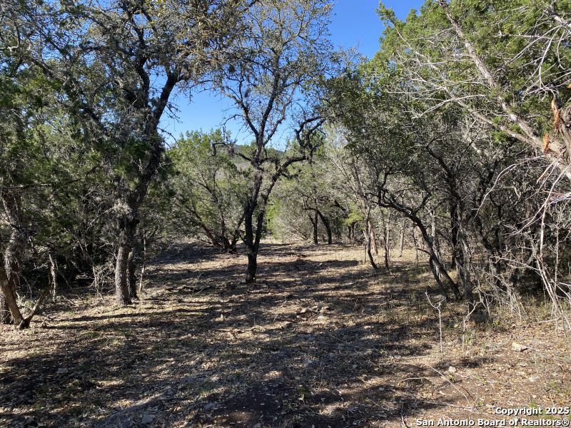 000 Private Road 2560 Reagan Wells TX 78801
