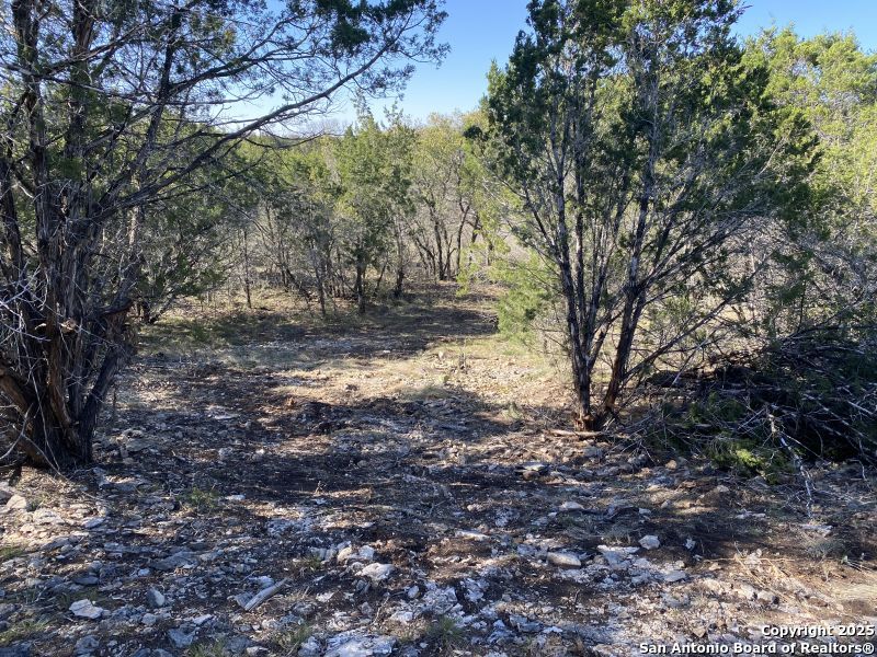 000 Private Road 2560 Reagan Wells TX 78801