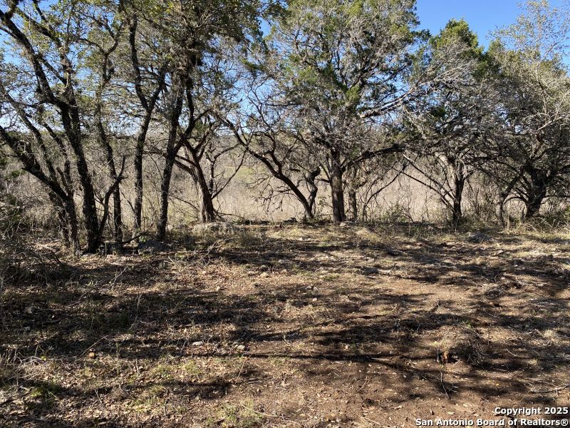 000 Private Road 2560 Reagan Wells TX 78801
