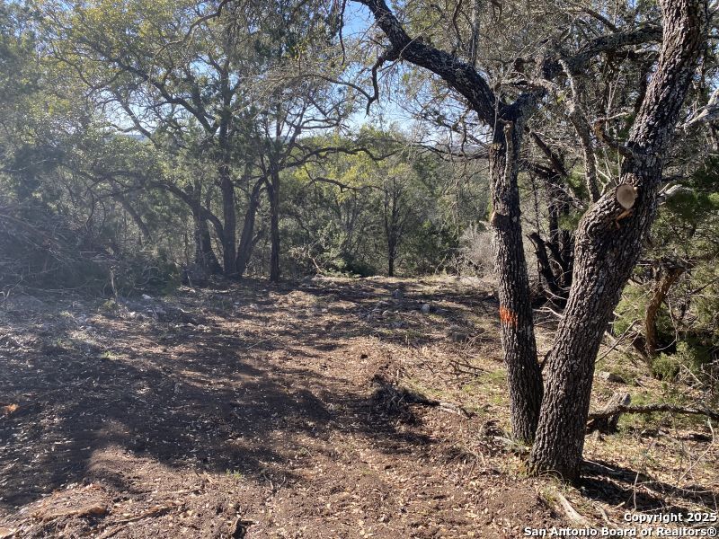 000 Private Road 2560 Reagan Wells TX 78801