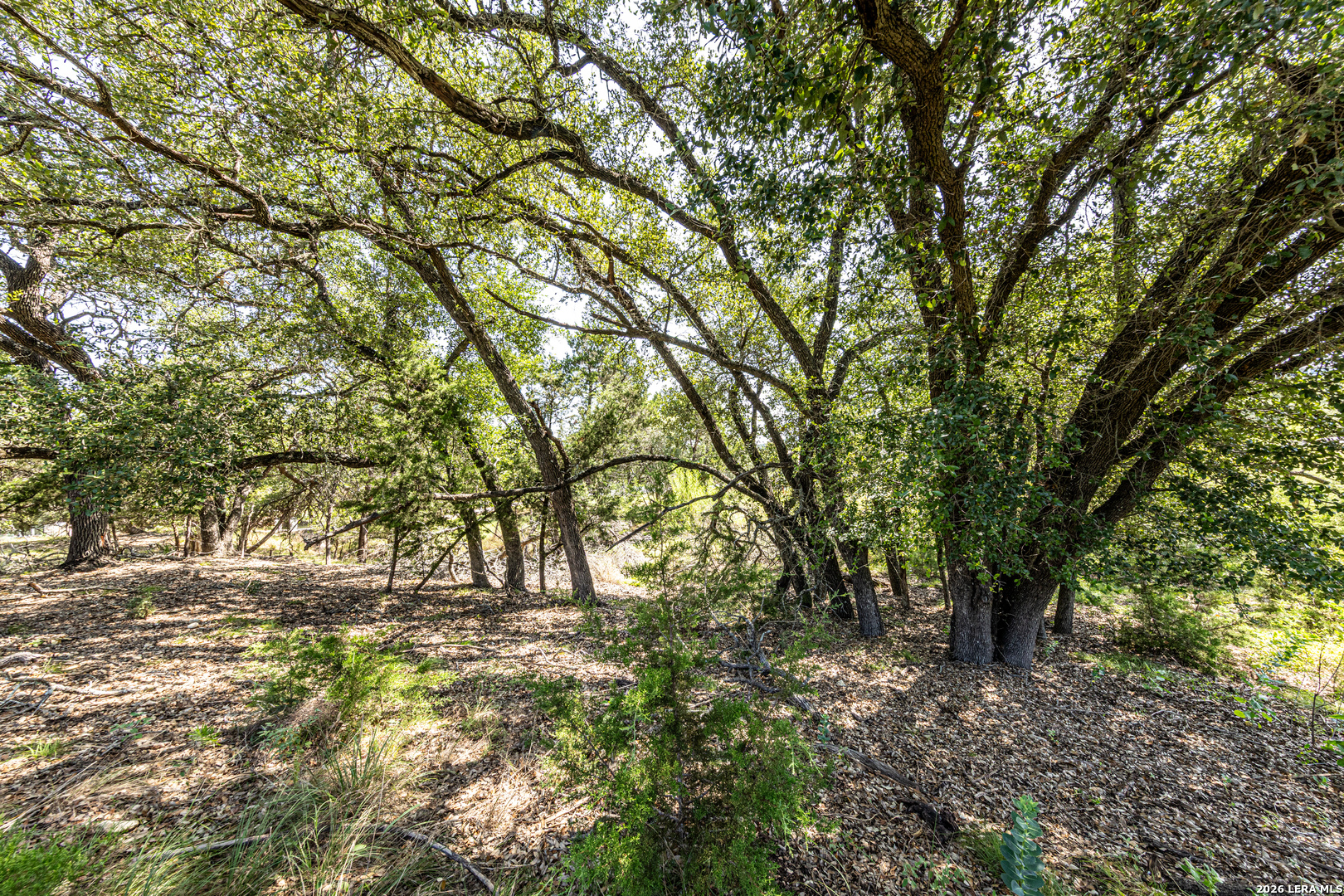 2610 River Way Spring Branch TX 78070
