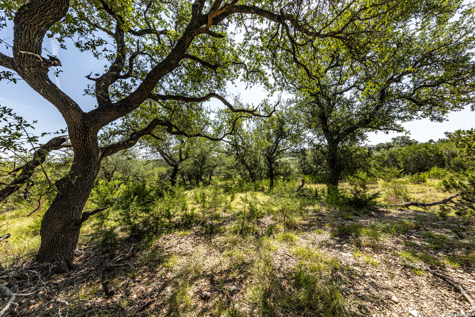 2610 River Way Spring Branch TX 78070