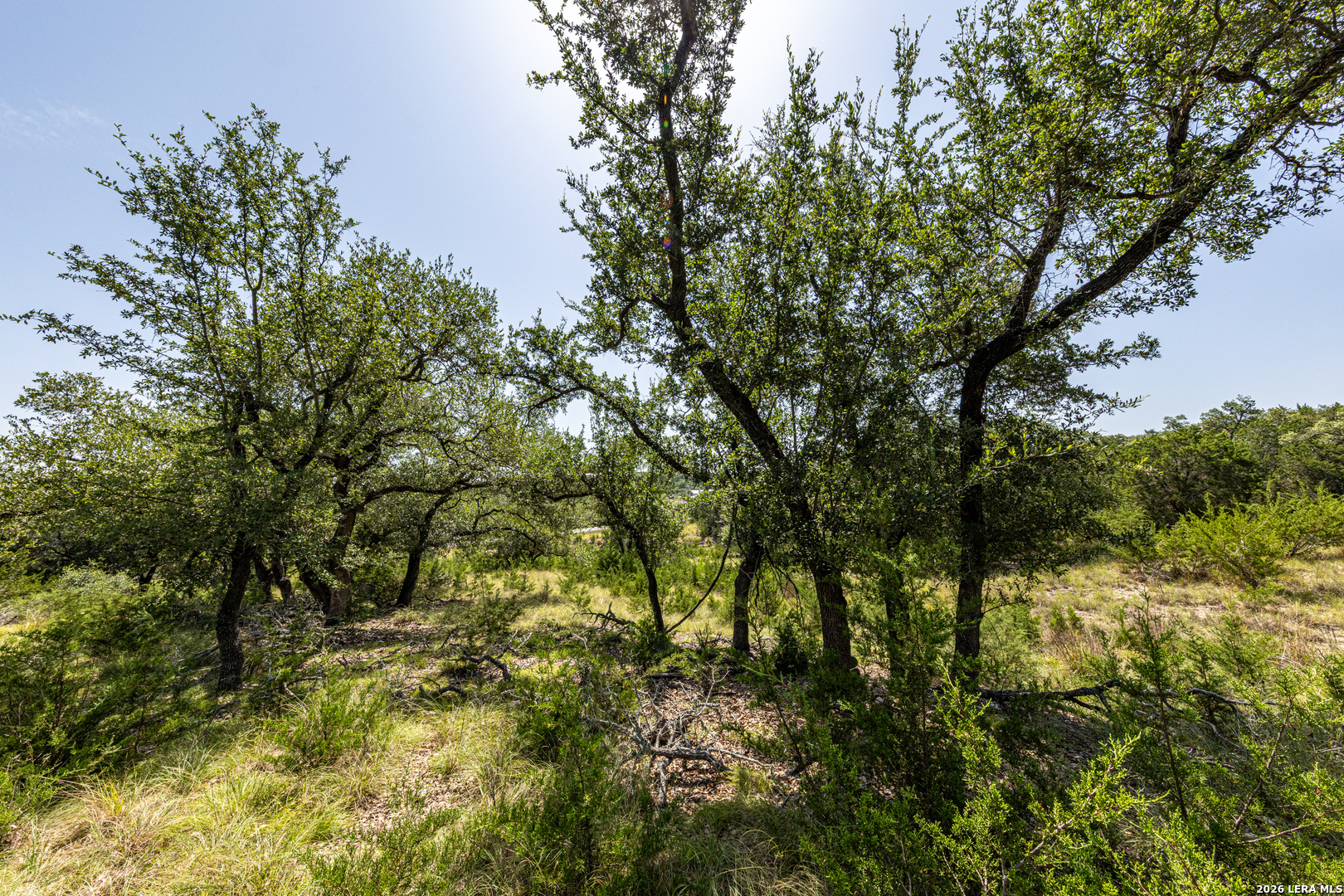 2610 River Way Spring Branch TX 78070
