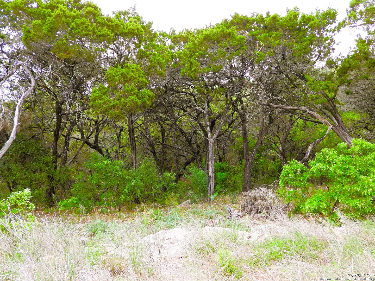 Tbd Mountain Drive Lakehills TX 78063