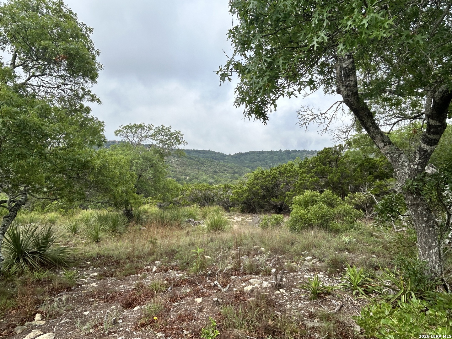239 Estancia Lane Boerne TX 78006